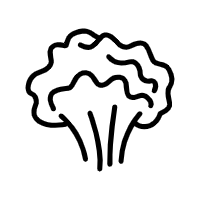 醬類(lèi)